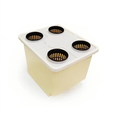 Dutch Bucket hidroponikus rendszer