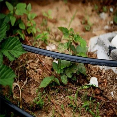 Labirintus csepegtető öntözőcső